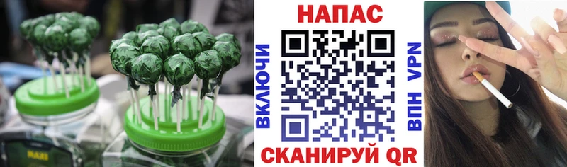 omg ссылки  Боровичи  Canna-Cookies марихуана 