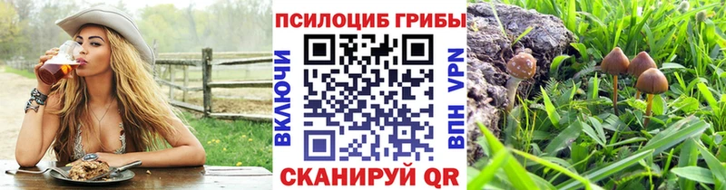 Псилоцибиновые грибы Psilocybine cubensis Боровичи